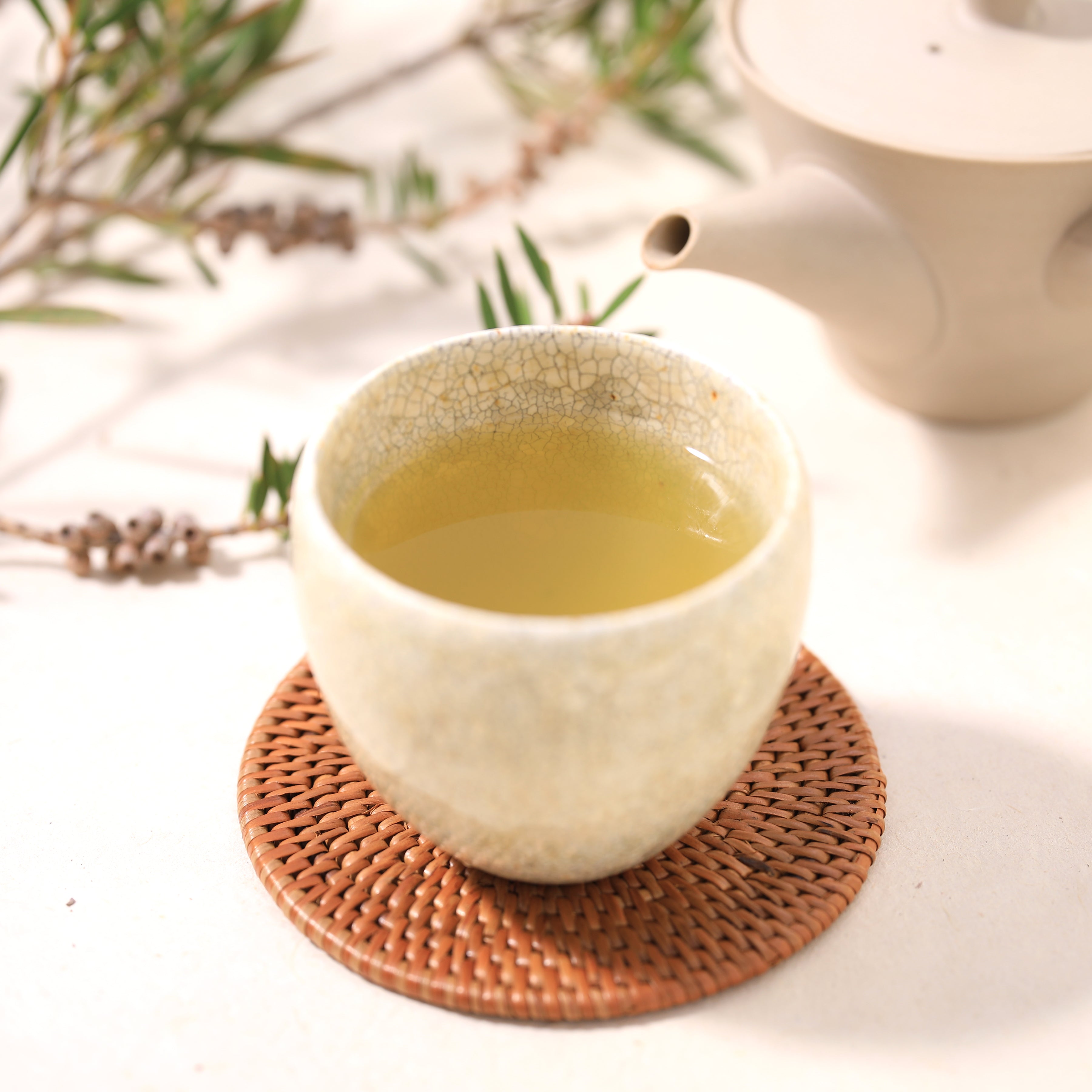 煎茶 青木木米 在銘 色絵 茶器揃(K-LC755) 煎茶 青木木米 在銘 色絵 茶器揃(K-LC755)