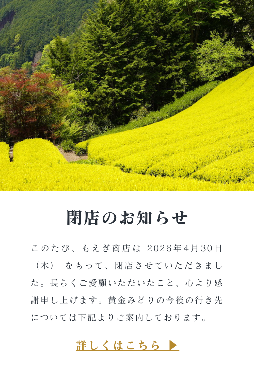 もえぎ商店